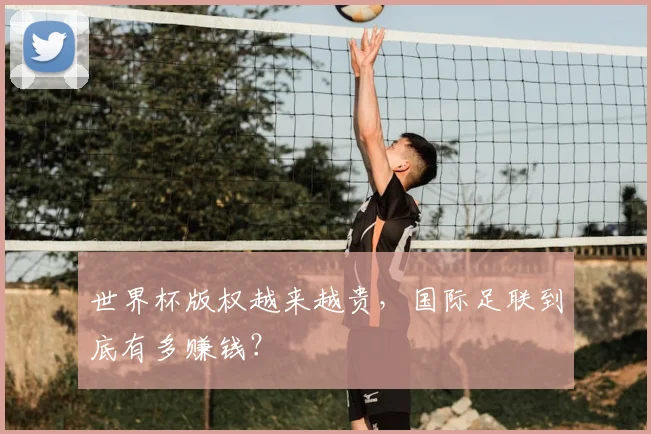 世界杯版权越来越贵，国际足联到底有多赚钱？