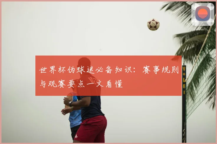 世界杯伪球迷必备知识:赛事规则与观赛要点一文看懂