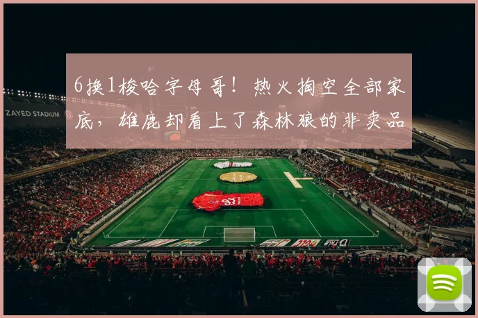 6换1梭哈字母哥！热火掏空全部家底，雄鹿却看上了森林狼的非卖品_NBA_魔术_开拓者