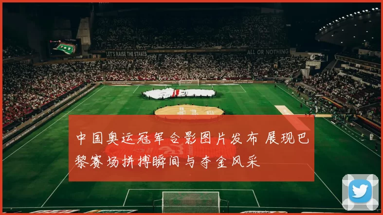 中国奥运冠军合影图片发布 展现巴黎赛场拼搏瞬间与夺金风采